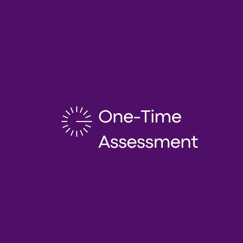 One-Time Assessment Icon